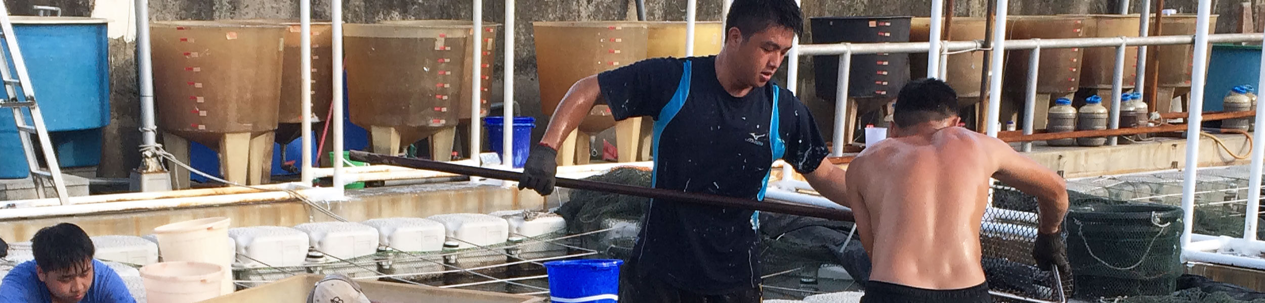 國立高雄科技大學水產養殖系暨研究所-相關網站