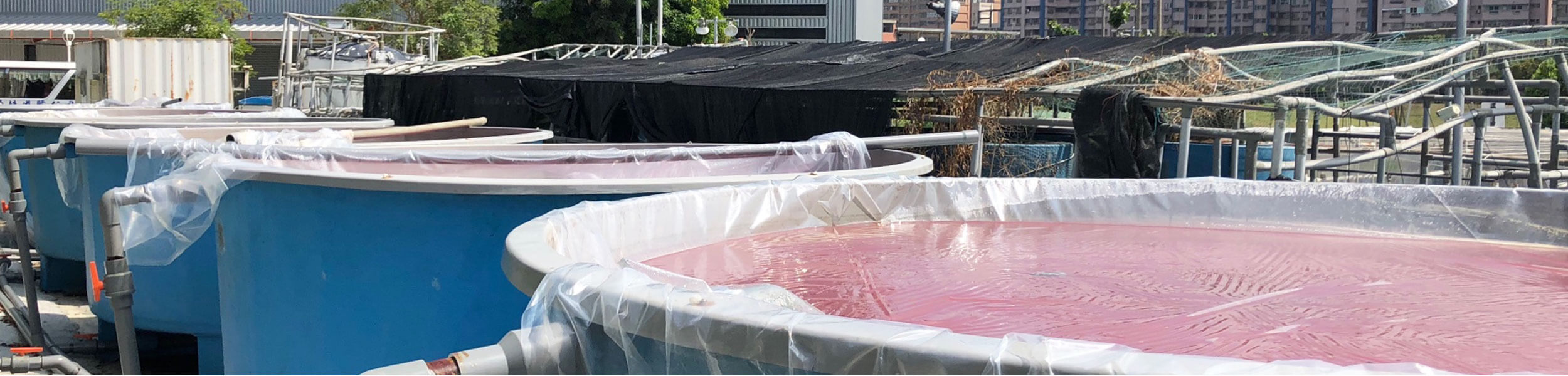 國立高雄科技大學水產養殖系暨研究所-相關網站