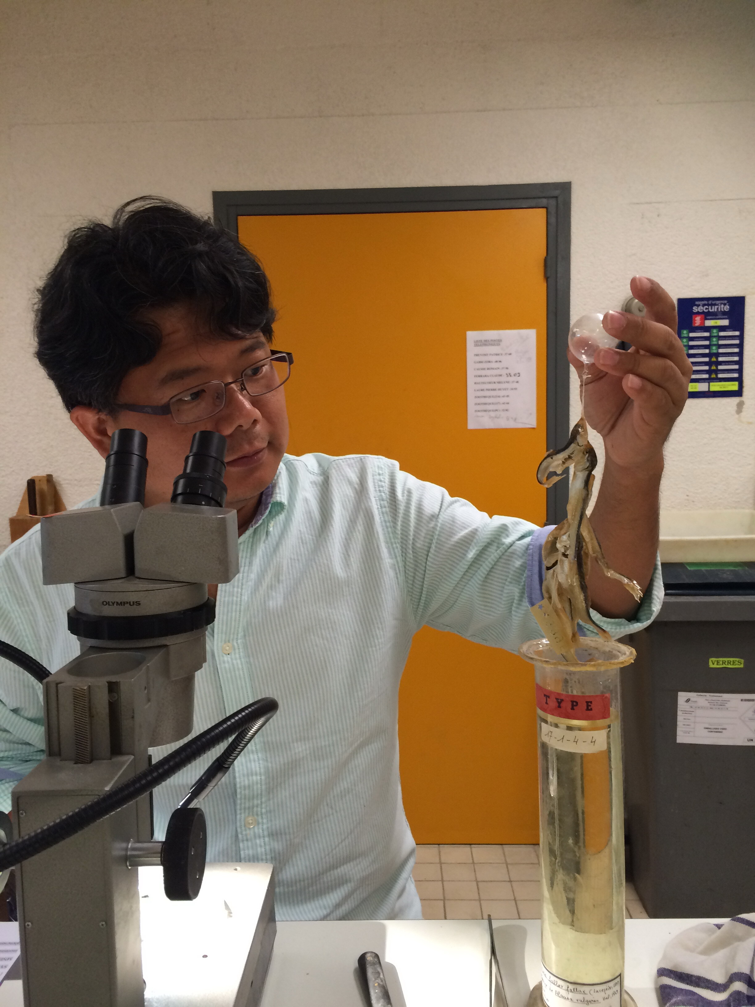 Ho, Hsuan-Ching , Ph.D.